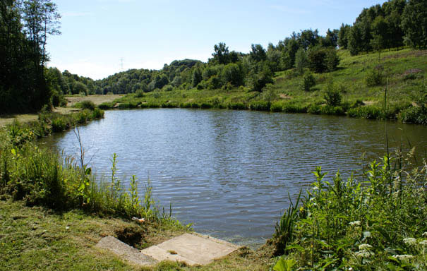 Bridge Pond