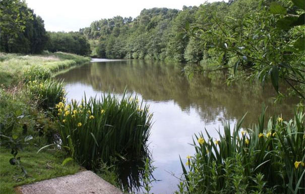 Burcliffe Pond